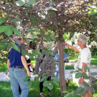 2007 traning for HVRA tree inventory