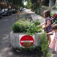 Children tending blooms in Harbord Village street planter, 2016