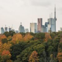 Metro News image of Toronto tree canopy