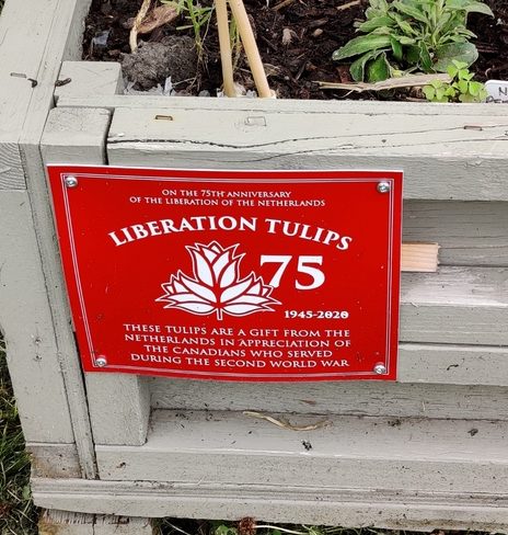 _CTech Liberation Tulips sign_tn